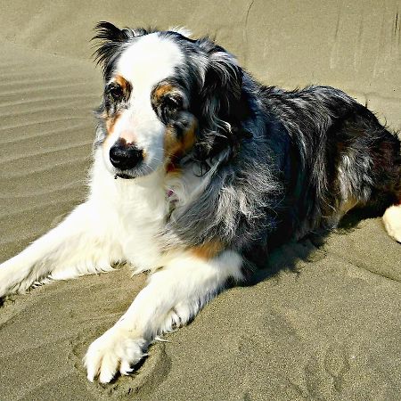 Hi-Tide Ocean Beach Resort มอคลิปส์ ภายนอก รูปภาพ